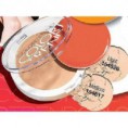 /products/polvos-compactos-control-de-grasa/